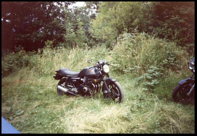 640x438 pixels (166K)